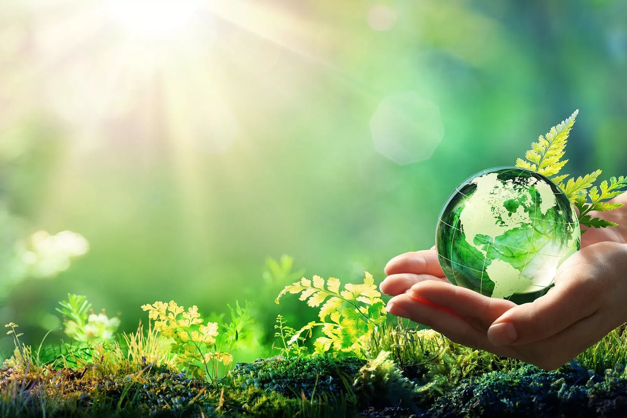 Environmental